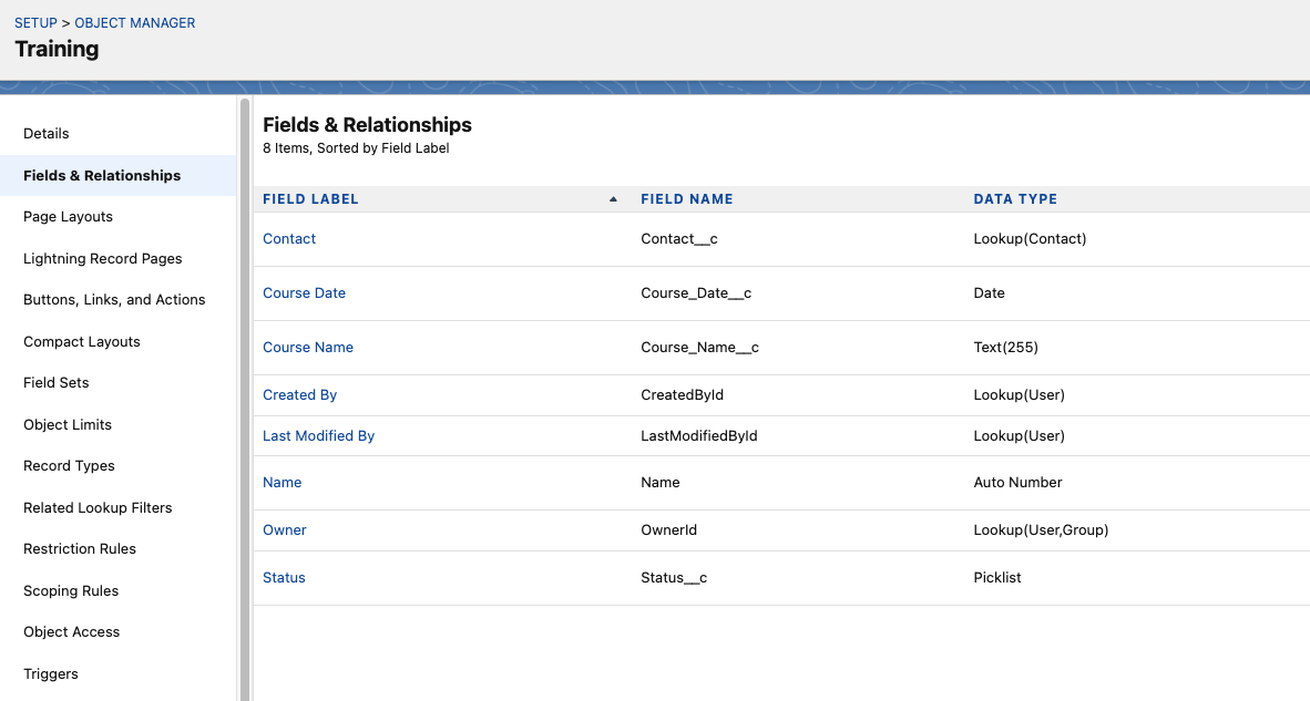 Salesforce Training Management System screenshot 1